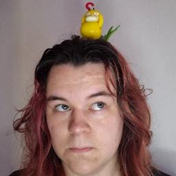 Gabriel Orion Castro Fontoura