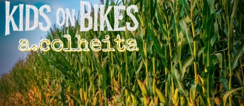 A colheita