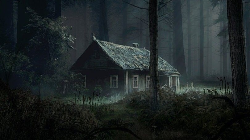 Em meio as Arvores antigas