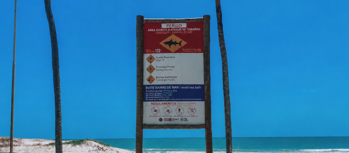 Do Mar ao Caos, do Caos à Fúria